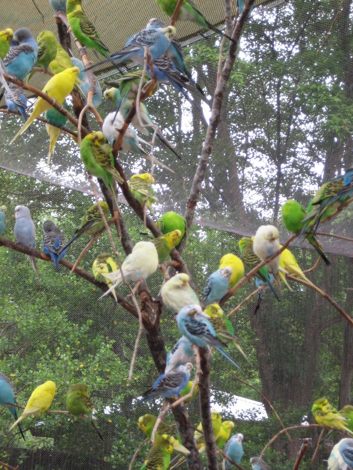 Vandalur Zoo Ticket Price