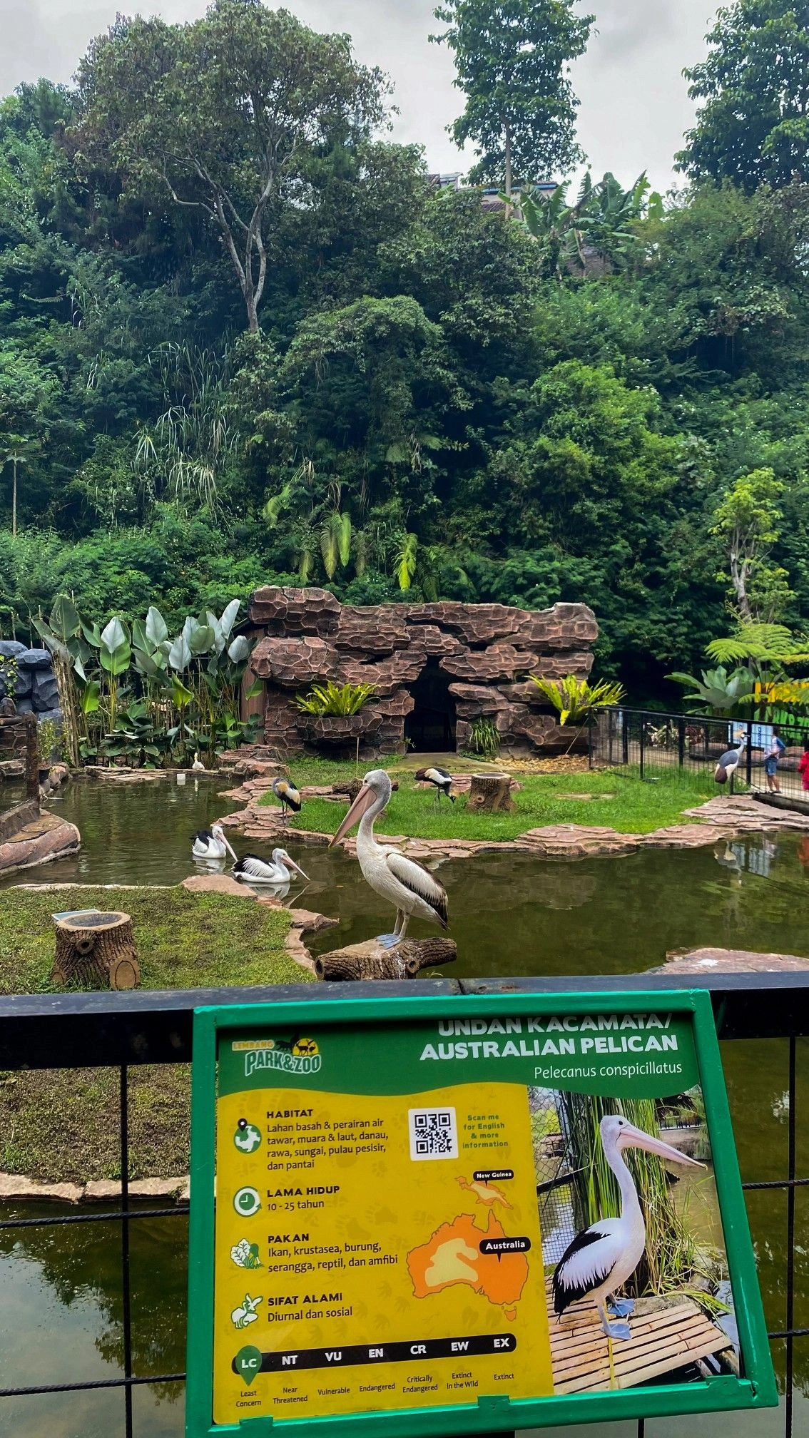 Vandalur Zoo Ticket Price and Timings