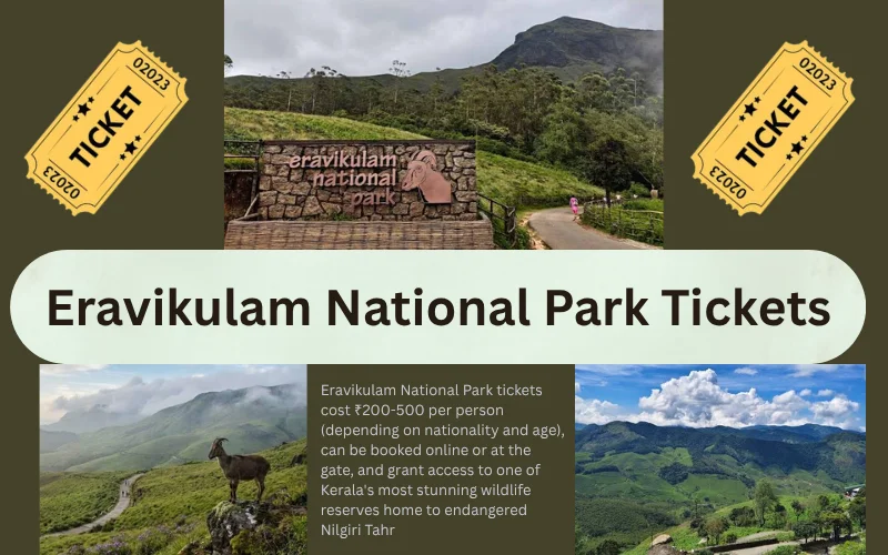 Eravikulam National Park Tickets: Complete 2026 Pricing, Booking & Access Guide Eravikulam National Park Tickets