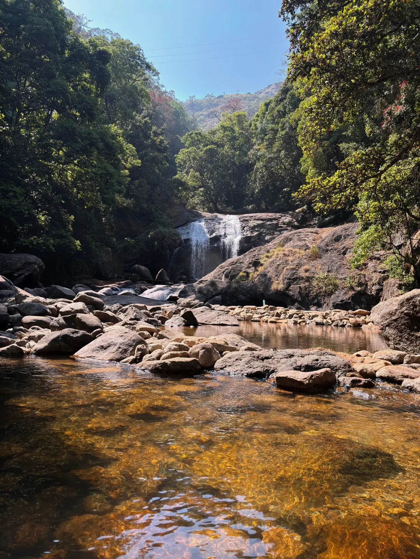 Eravikulam National Park Entry Fee and Timings
