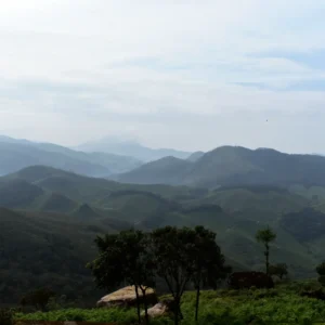 Eravikulam National Park